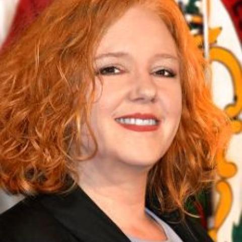 deputy general counsel misty peal